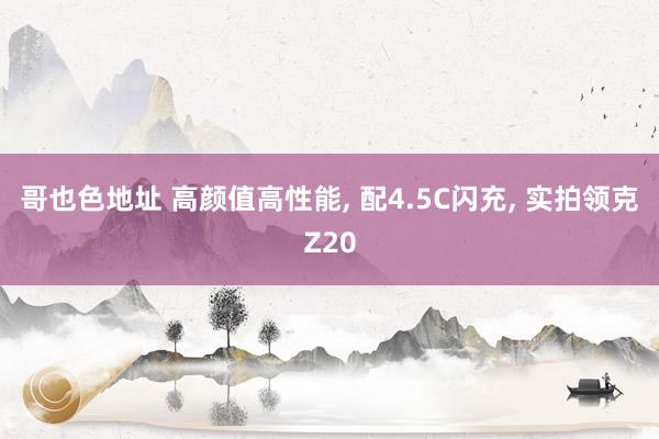 哥也色地址 高颜值高性能， 配4.5C闪充， 实拍领克Z20