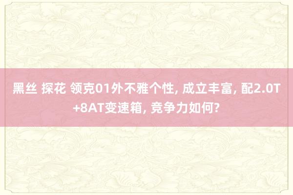 黑丝 探花 领克01外不雅个性， 成立丰富， 配2.0T+8AT变速箱， 竞争力如何?