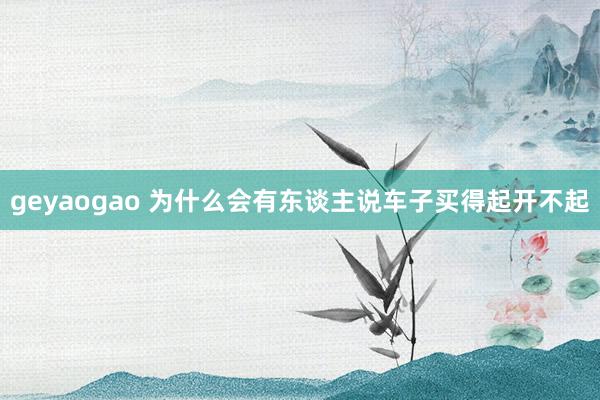 geyaogao 为什么会有东谈主说车子买得起开不起