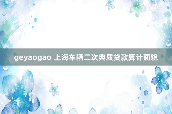 geyaogao 上海车辆二次典质贷款算计面貌