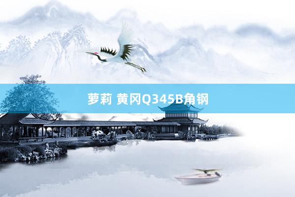 萝莉 黄冈Q345B角钢