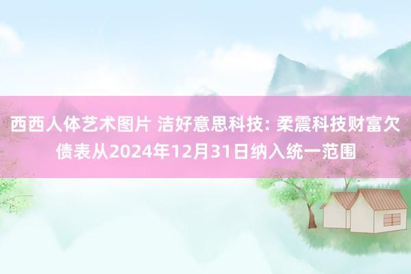 西西人体艺术图片 洁好意思科技: 柔震科技财富欠债表从2024年12月31日纳入统一范围