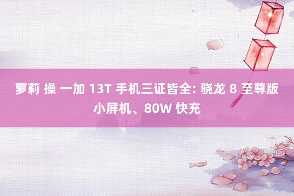 萝莉 操 一加 13T 手机三证皆全: 骁龙 8 至尊版小屏机、80W 快充