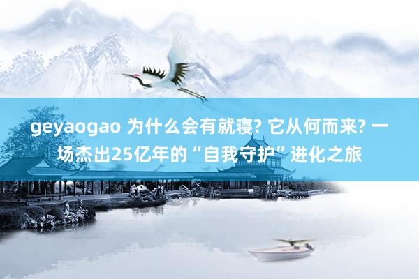 geyaogao 为什么会有就寝? 它从何而来? 一场杰出25亿年的“自我守护”进化之旅