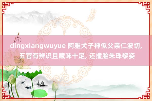 dingxiangwuyue 阿雅犬子神似父亲仁波切， 五官有辨识且藏味十足， 还撞脸朱珠黎姿