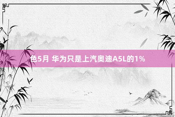 色5月 华为只是上汽奥迪A5L的1%